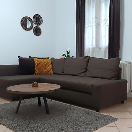 Baou House 1 Lejlighed Metsovo Eksteriør billede