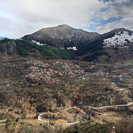 Baou House 1 Lejlighed Metsovo Eksteriør billede