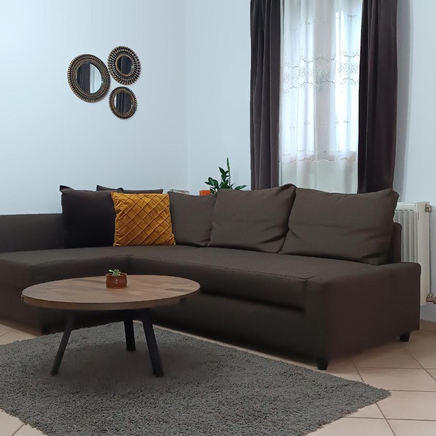 Baou House 1 Lejlighed Metsovo Eksteriør billede